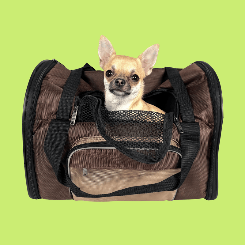 Pet Carying Bags