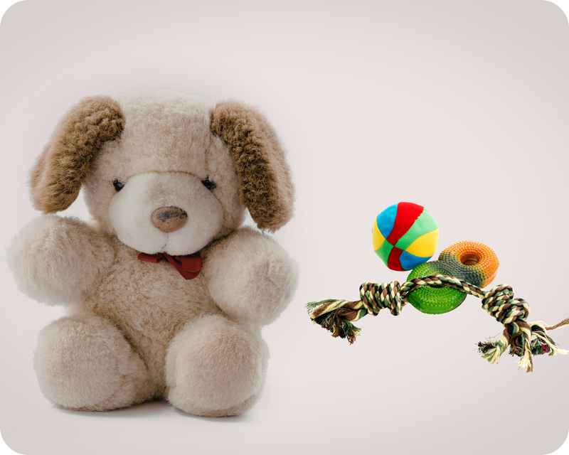Dog Toys