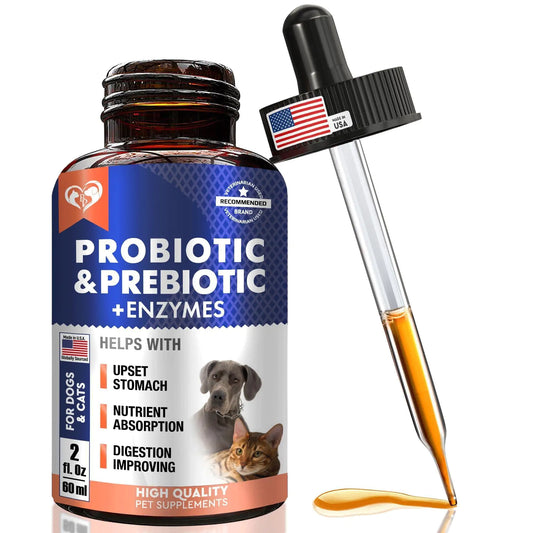Probiotics & Prebiotics for Dogs & Cats – Digestive Health Support