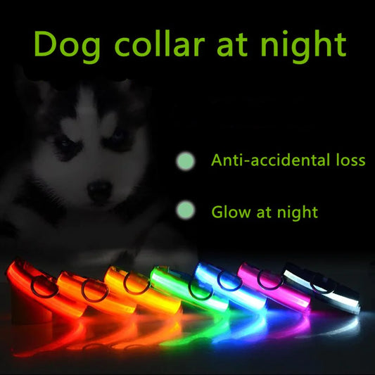 Anti Accidental  LED Light-Up Dog Safety Collar